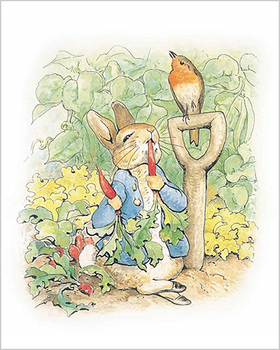Peter Rabbit